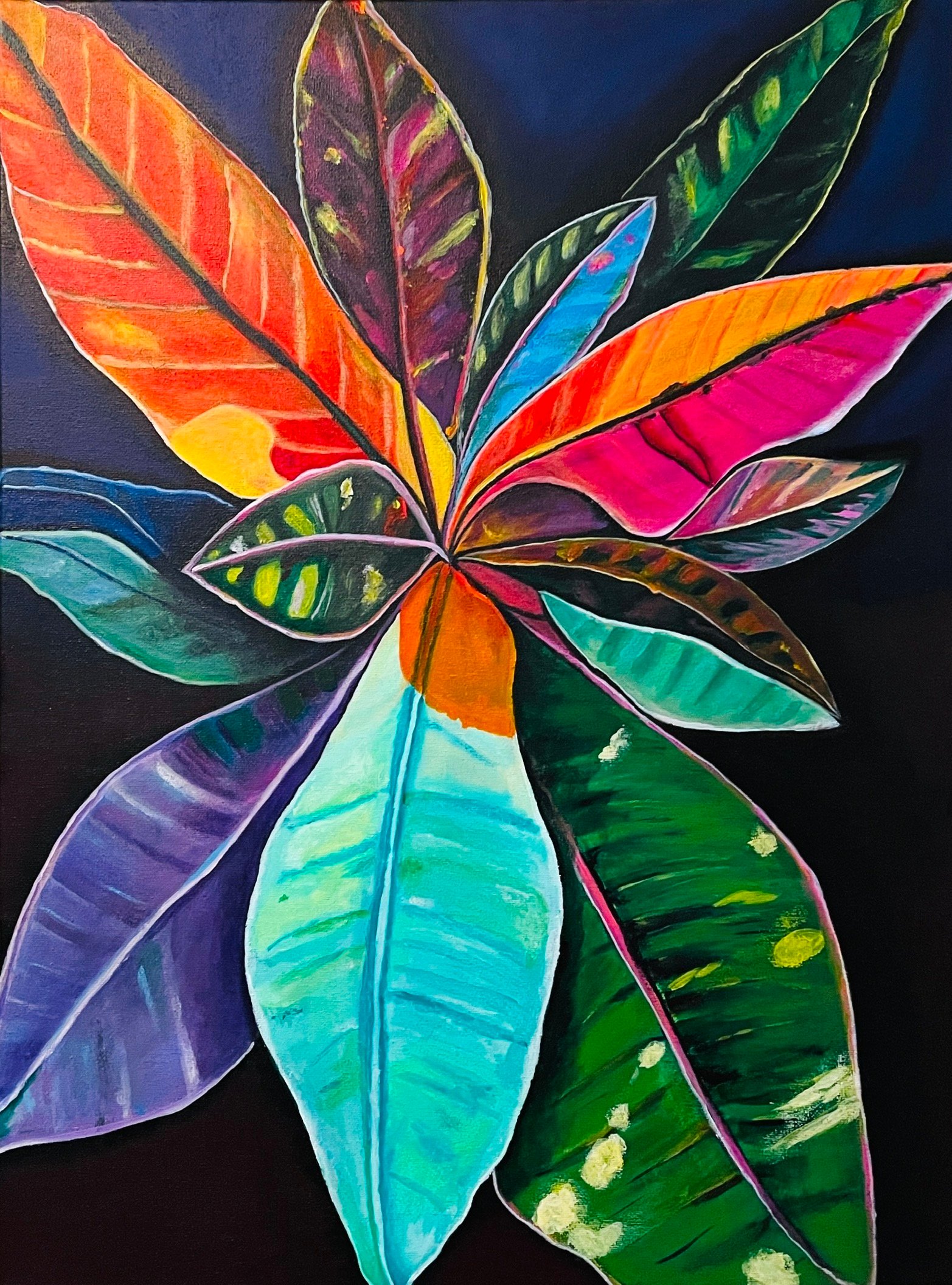 Croton