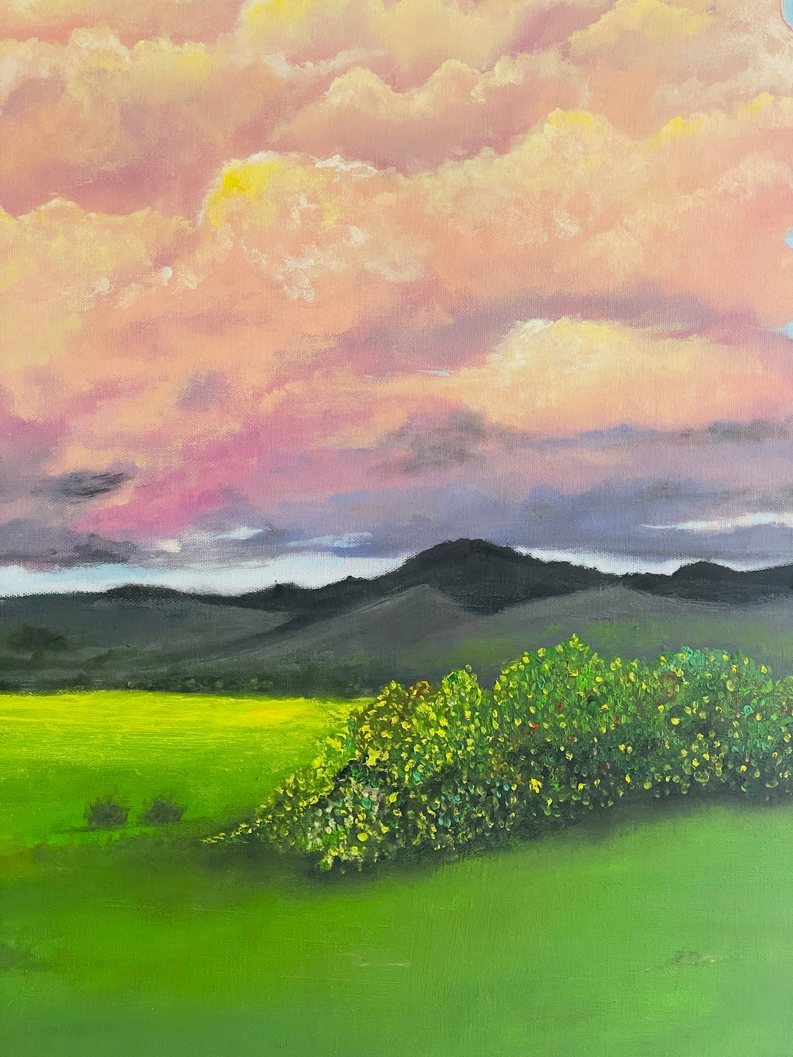 Quiescent - Image 3